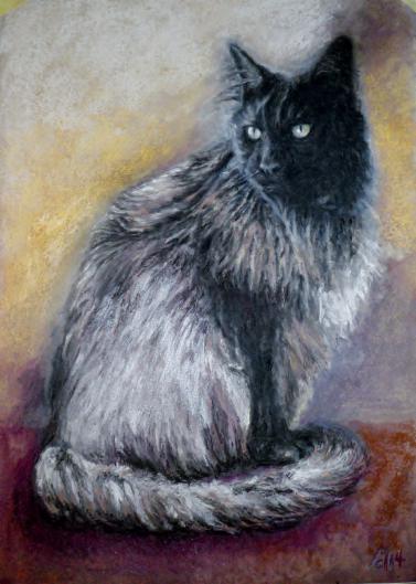 Katzenportrait, Pastell auf Papier 42x60 cm